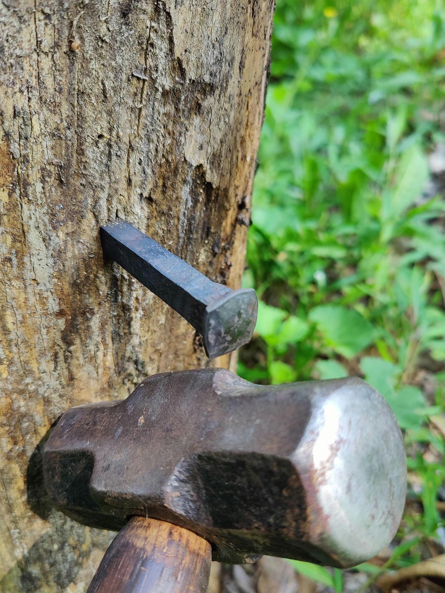 Blacksmith wrought spikes - heavy nails