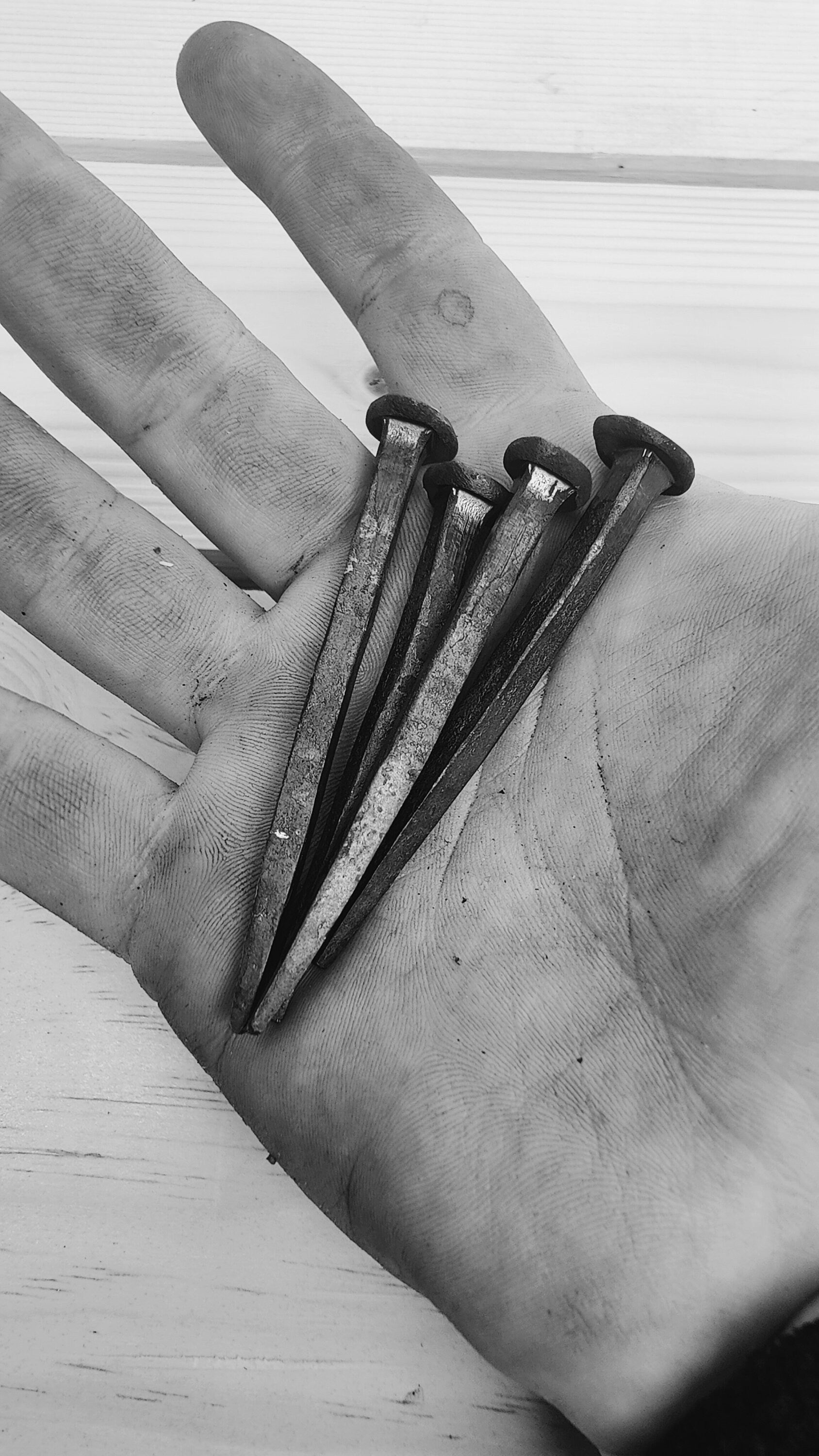Blacksmith Wrought Nails: Clout Head Clinch Nails (Pack of 5)